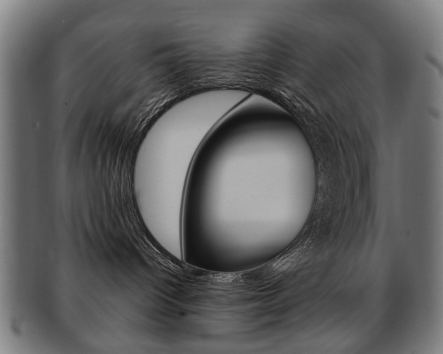 X0000091900096200709051112