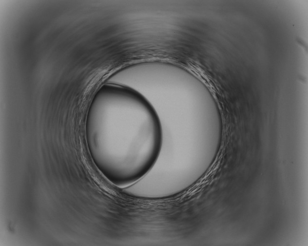 X0000091900097200709051111