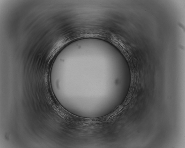 X0000091900098200709051111