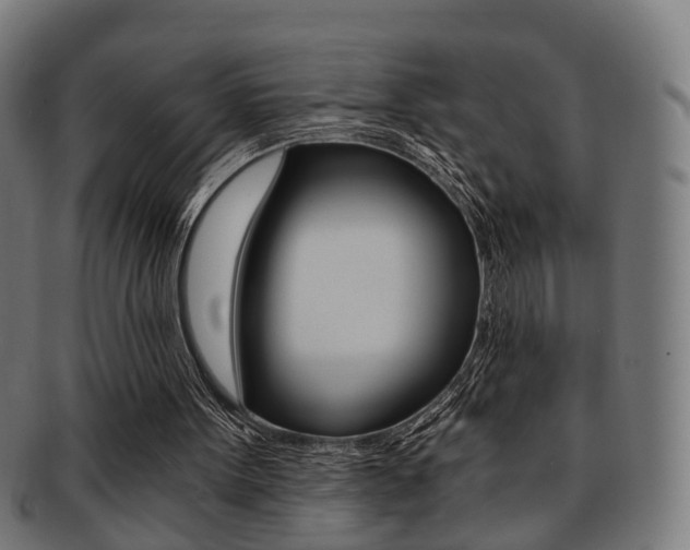 X0000091900099200709051111