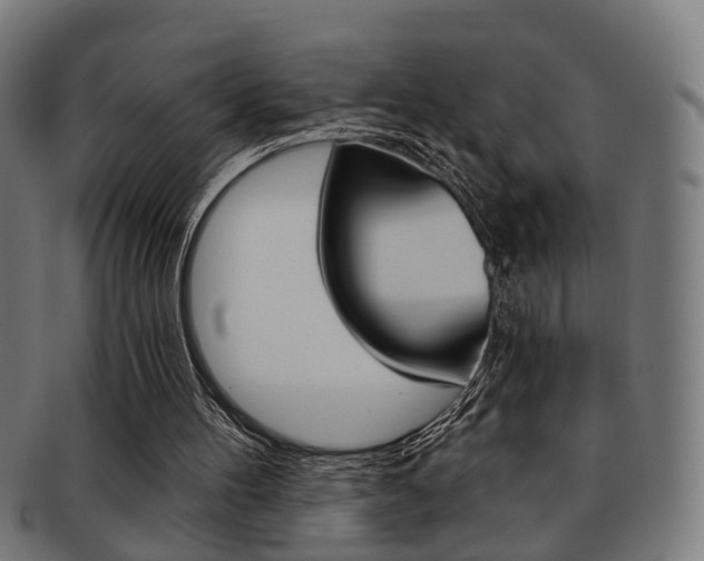 X0000091900100200709051111