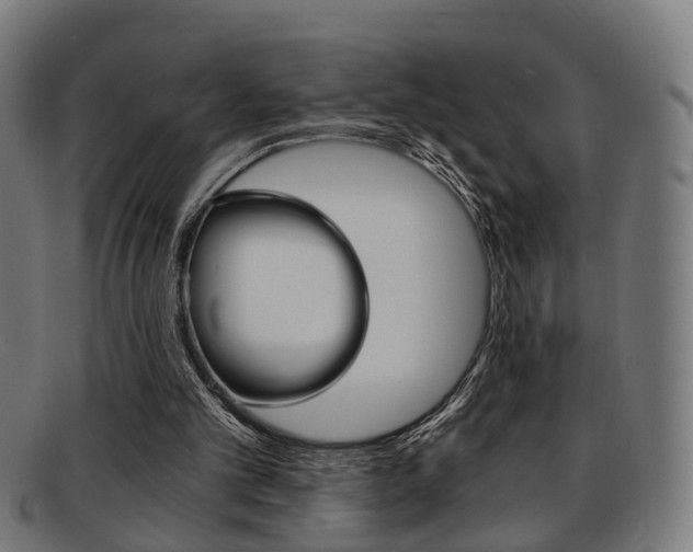 X0000091900101200709051111