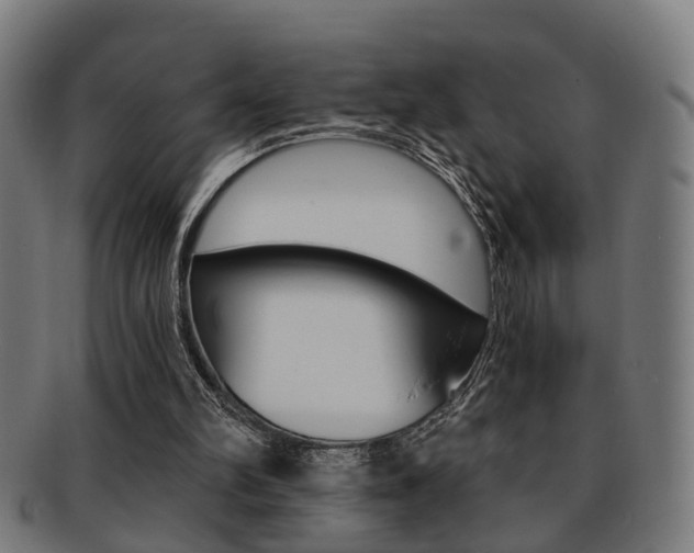 X0000091900102200709051111