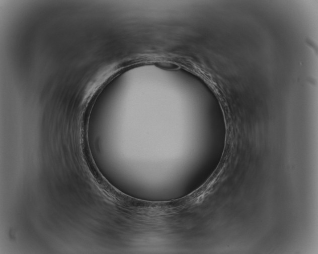 X0000091900103200709051111