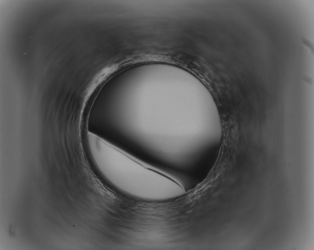 X0000091900104200709051111