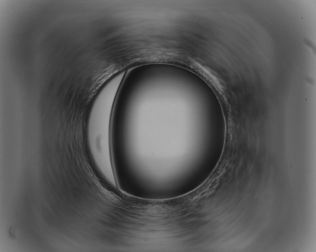 X0000091900105200709051111