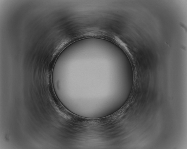 X0000091900106200709051111