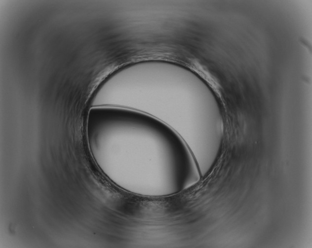 X0000091900107200709051111