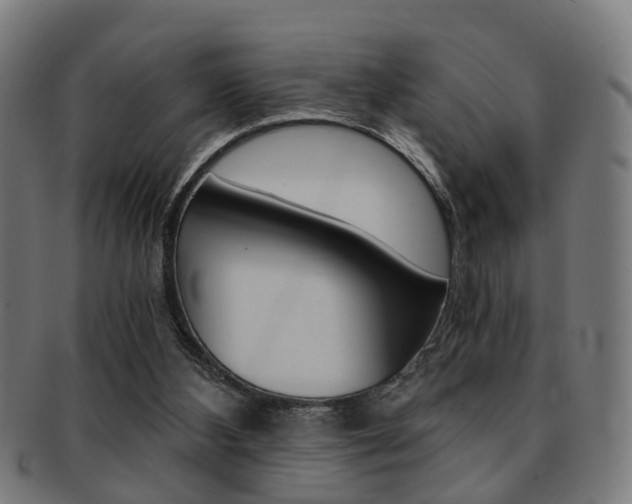 X0000091900108200709051111