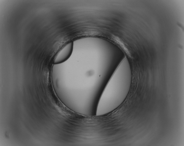X0000091900110200709051111
