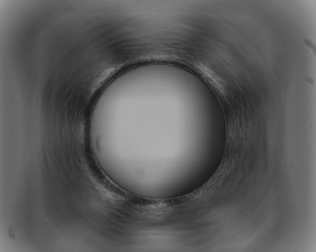 X0000091900112200709051111