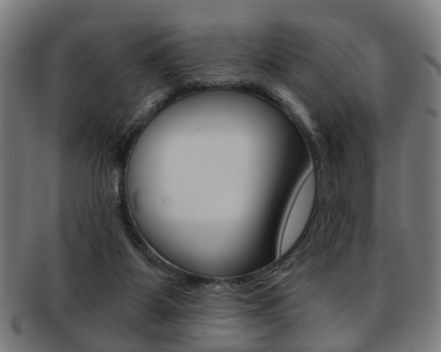 X0000091900115200709051111