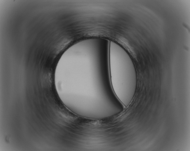 X0000091900116200709051111