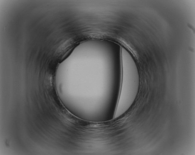 X0000091900117200709051111