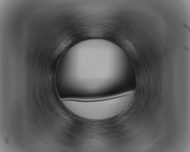 X0000091900120200709051111