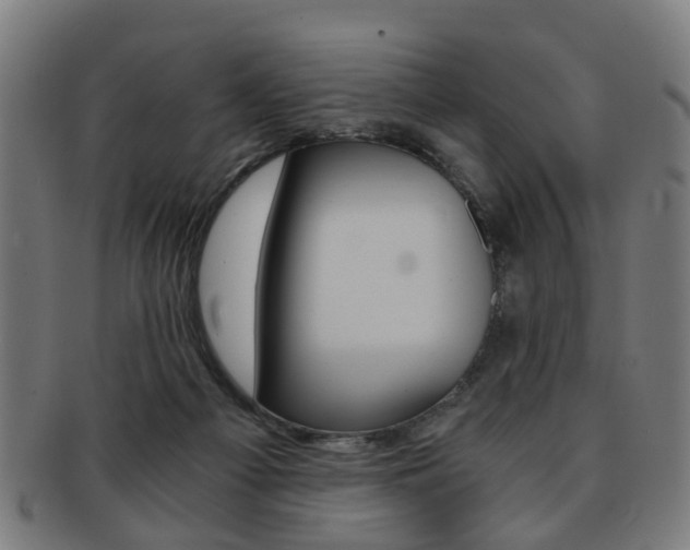 X0000091900121200709051111