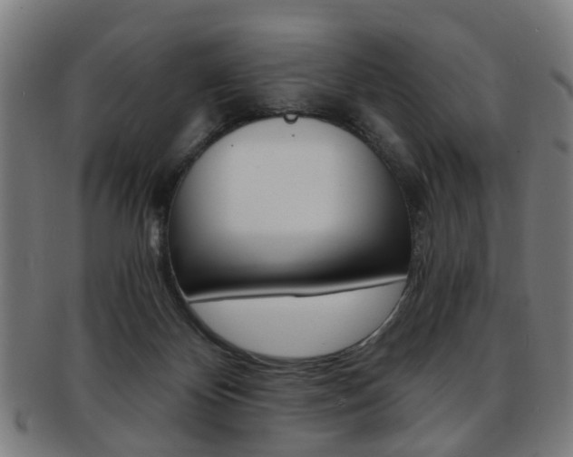X0000091900124200709051111