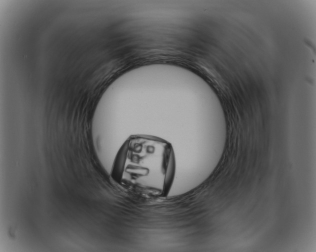 X0000091900125200709051111
