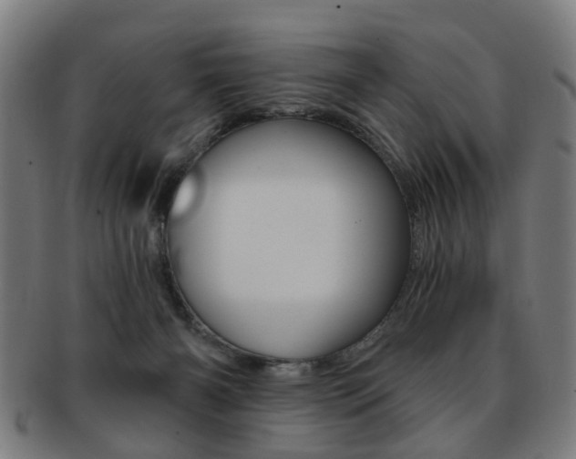 X0000091900126200709051111
