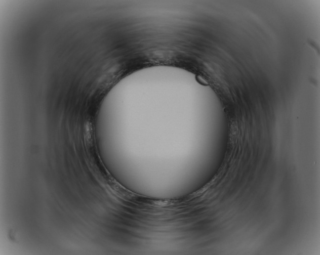 X0000091900130200709051111