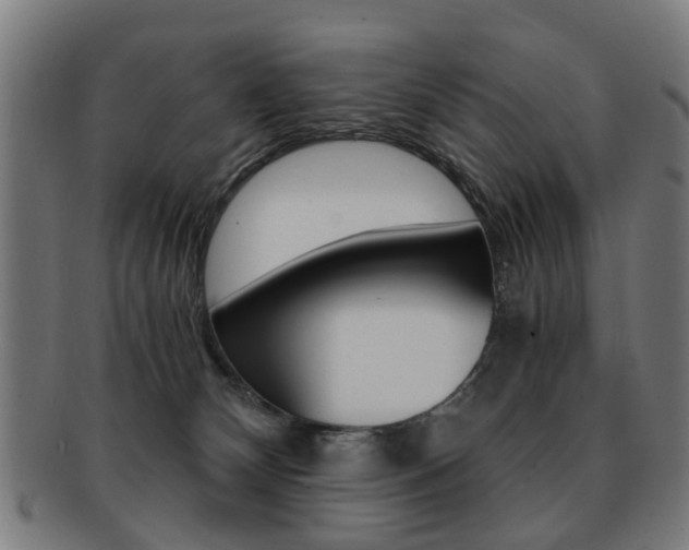 X0000091900132200709051111