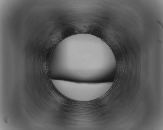 X0000091900134200709051111