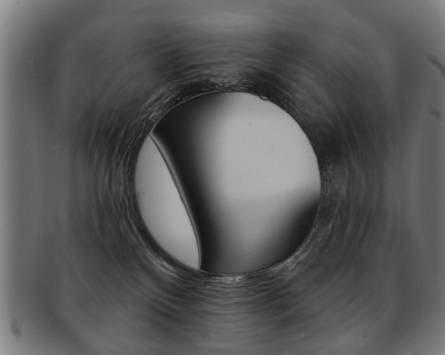 X0000091900136200709051111