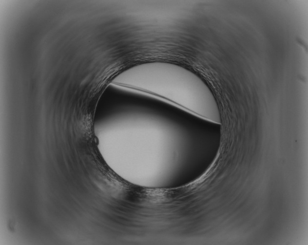 X0000091900144200709051111