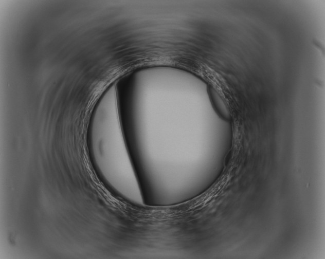 X0000091900145200709051110