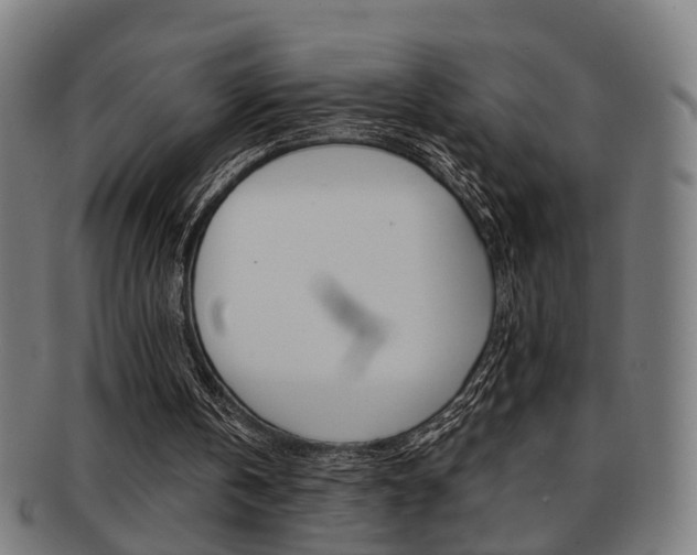 X0000091900146200709051110