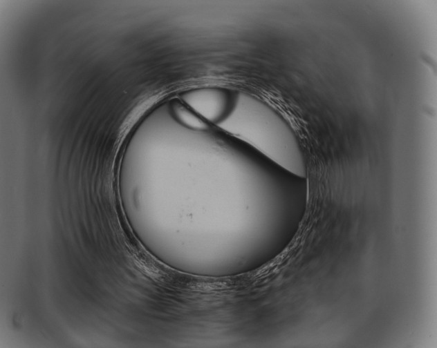 X0000091900147200709051110