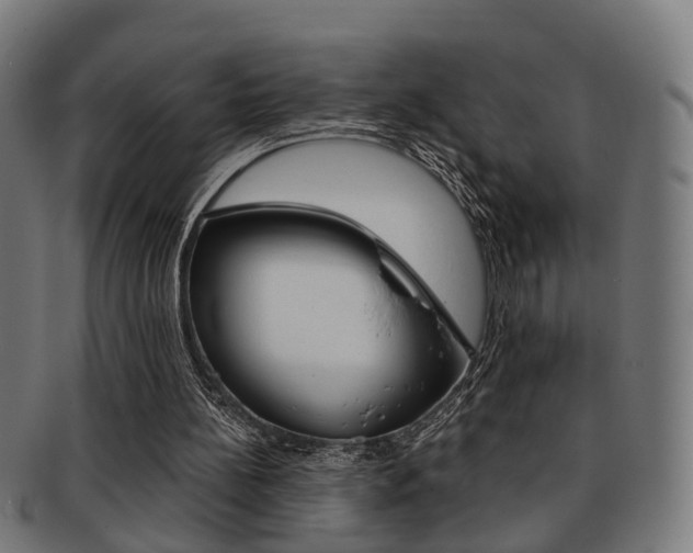 X0000091900148200709051110