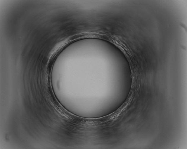 X0000091900149200709051110