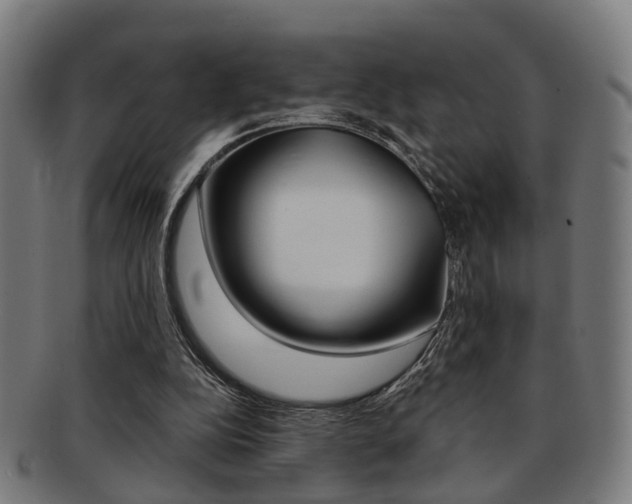 X0000091900152200709051110