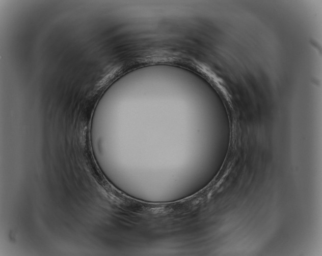 X0000091900153200709051110