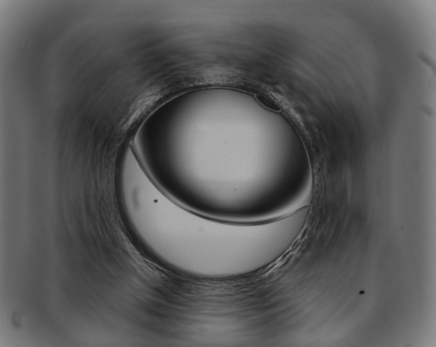 X0000091900154200709051110