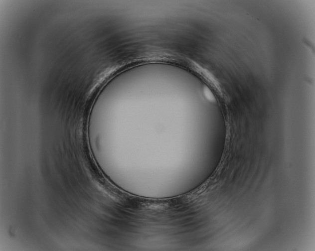 X0000091900155200709051110