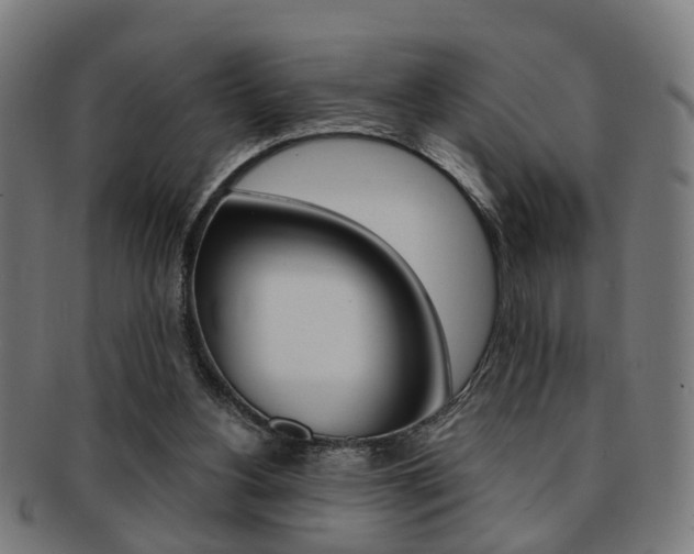 X0000091900156200709051110
