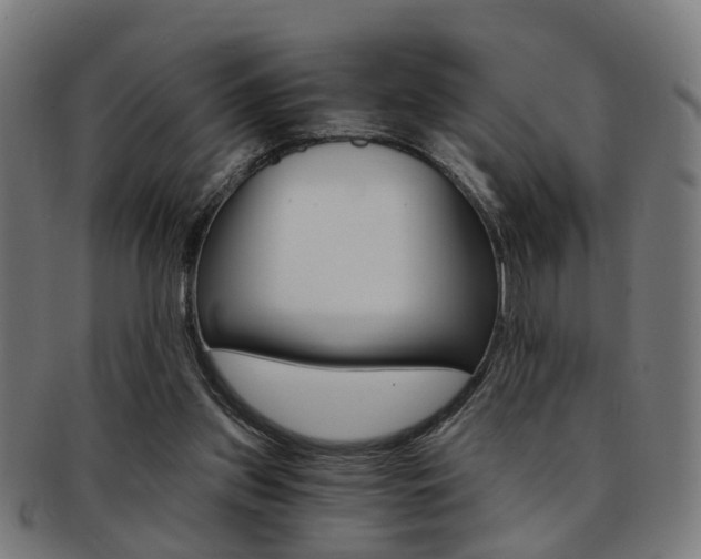 X0000091900157200709051110