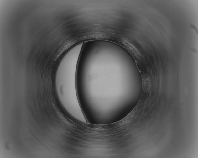 X0000091900158200709051110