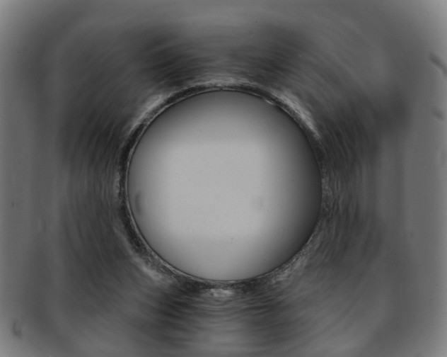 X0000091900159200709051110