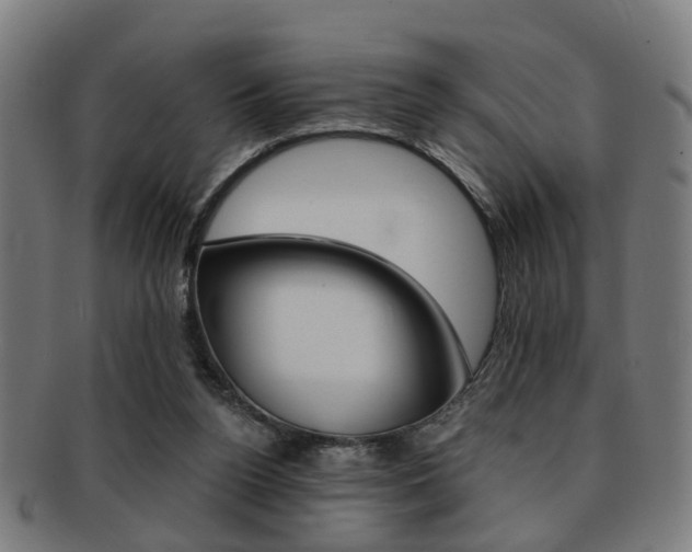 X0000091900160200709051110