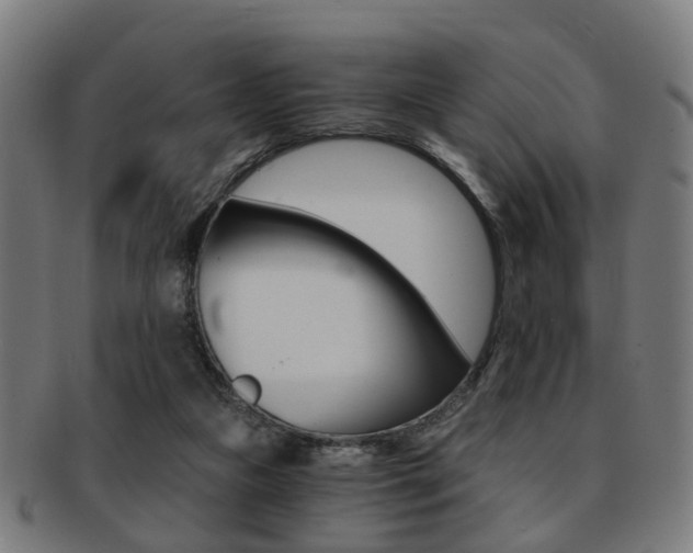 X0000091900161200709051110