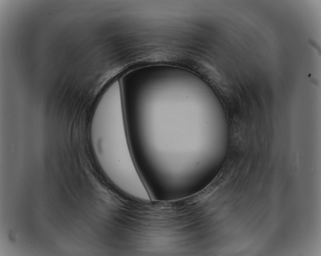 X0000091900164200709051111