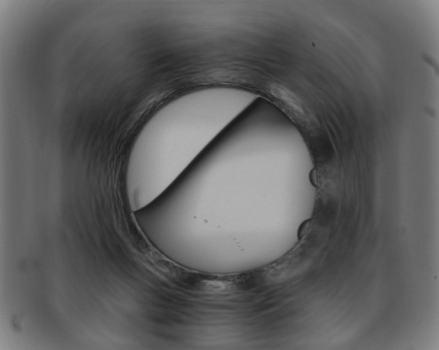 X0000091900167200709051111