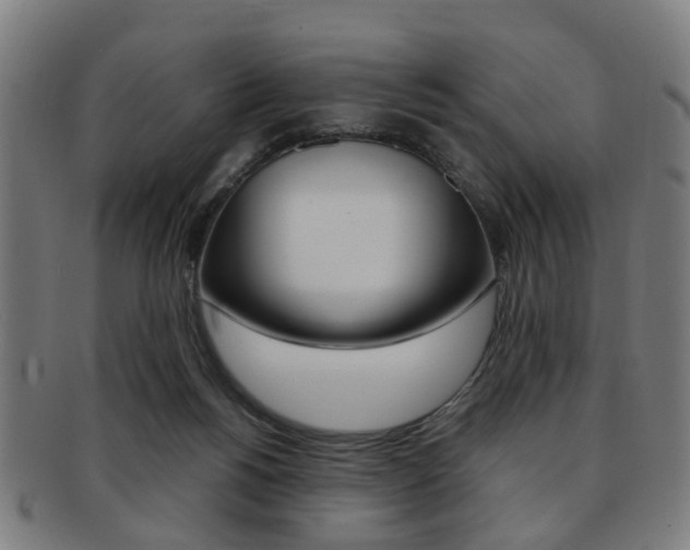 X0000091900168200709051111