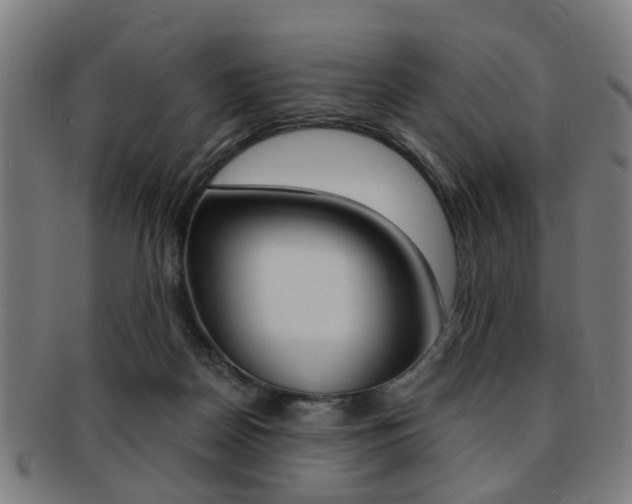 X0000091900170200709051111