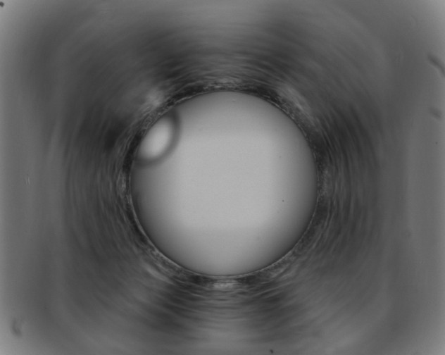 X0000091900173200709051111