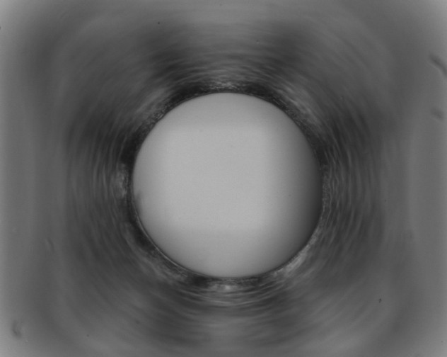 X0000091900174200709051111