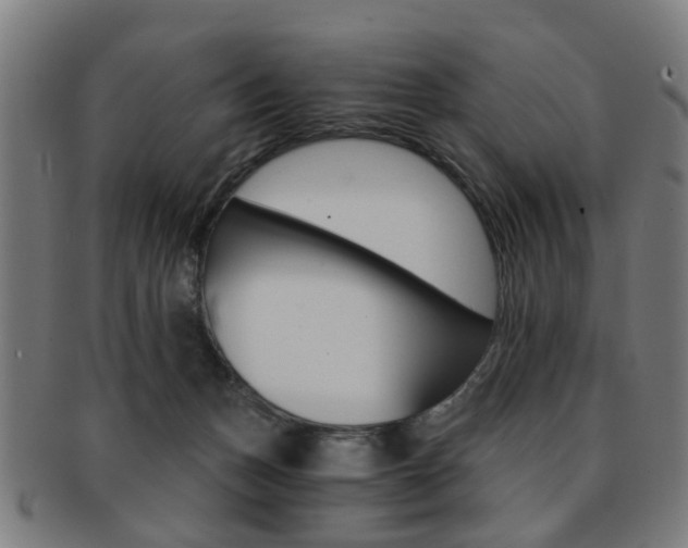 X0000091900175200709051111
